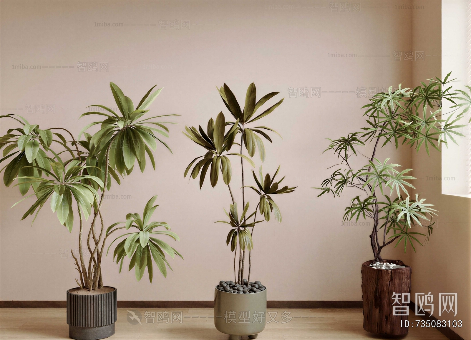 Modern Ground Green Plant Potted Plants