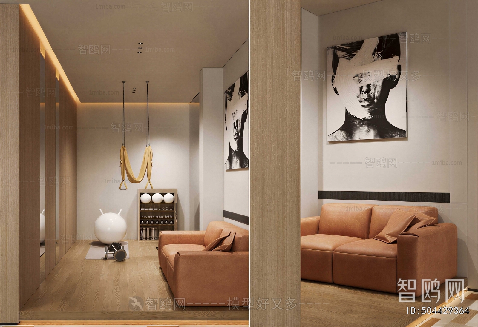 Modern Home Fitness Room