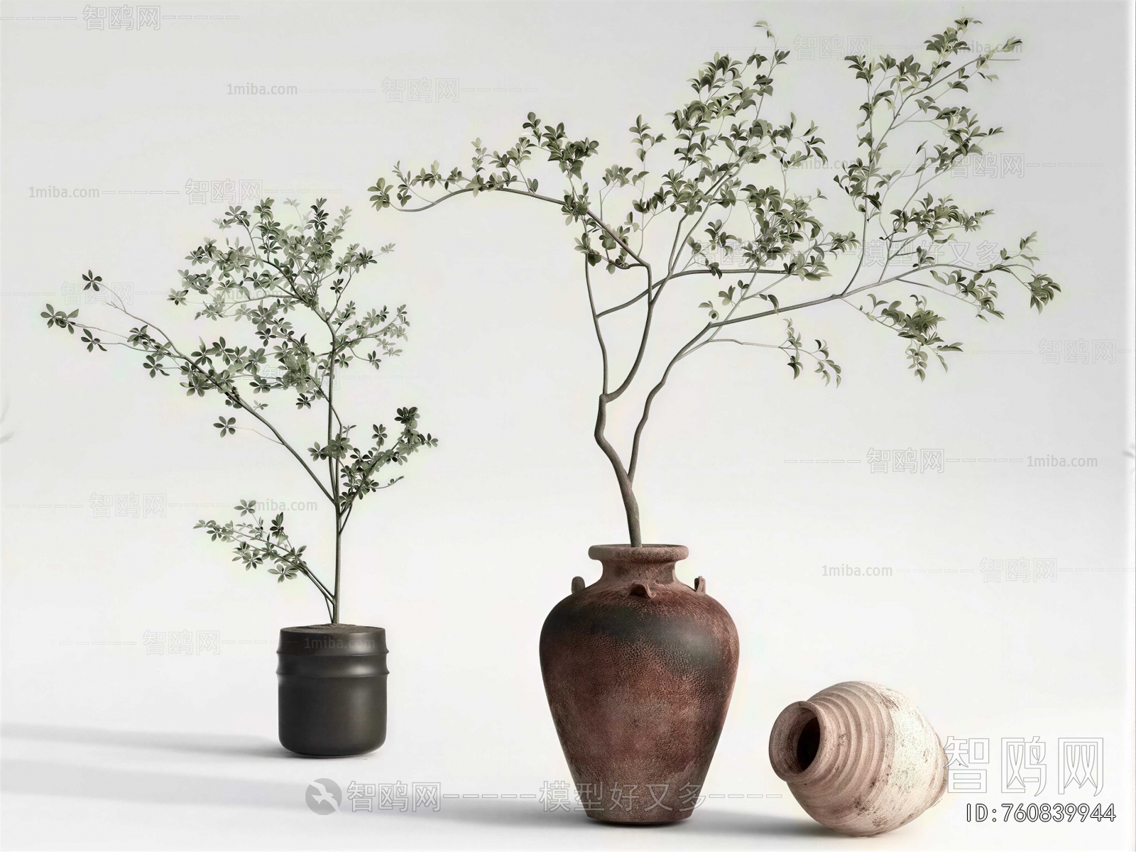 Wabi-sabi Style Ground Green Plant Potted Plants