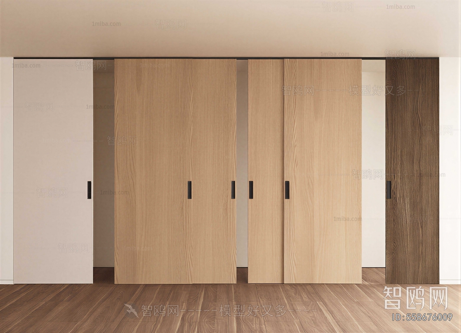 Modern Sliding Door