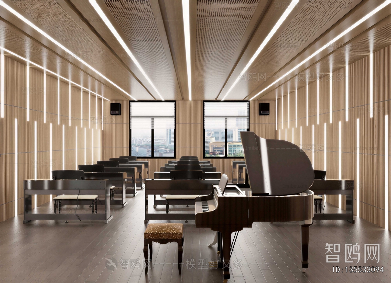 Modern Music Room