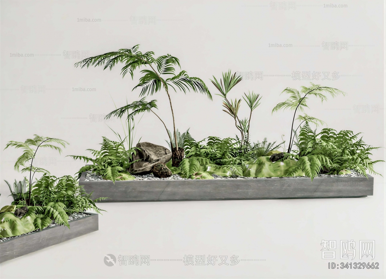 Modern Plant Landscaping