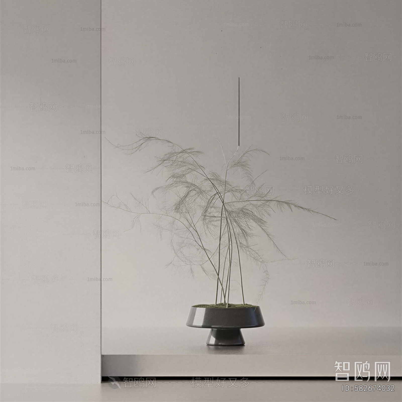 Modern Potted Green Plant