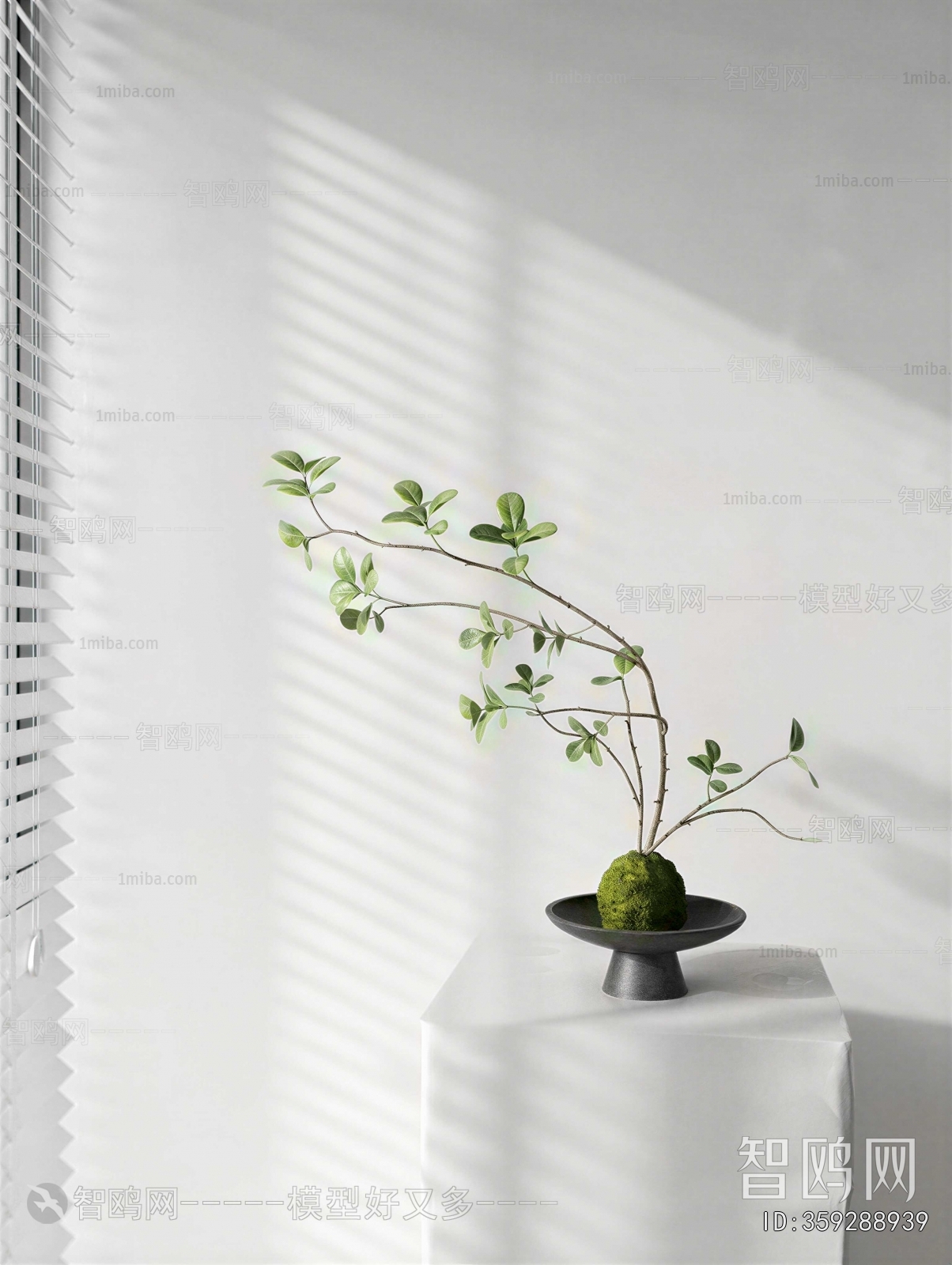 Modern Desktop Plant