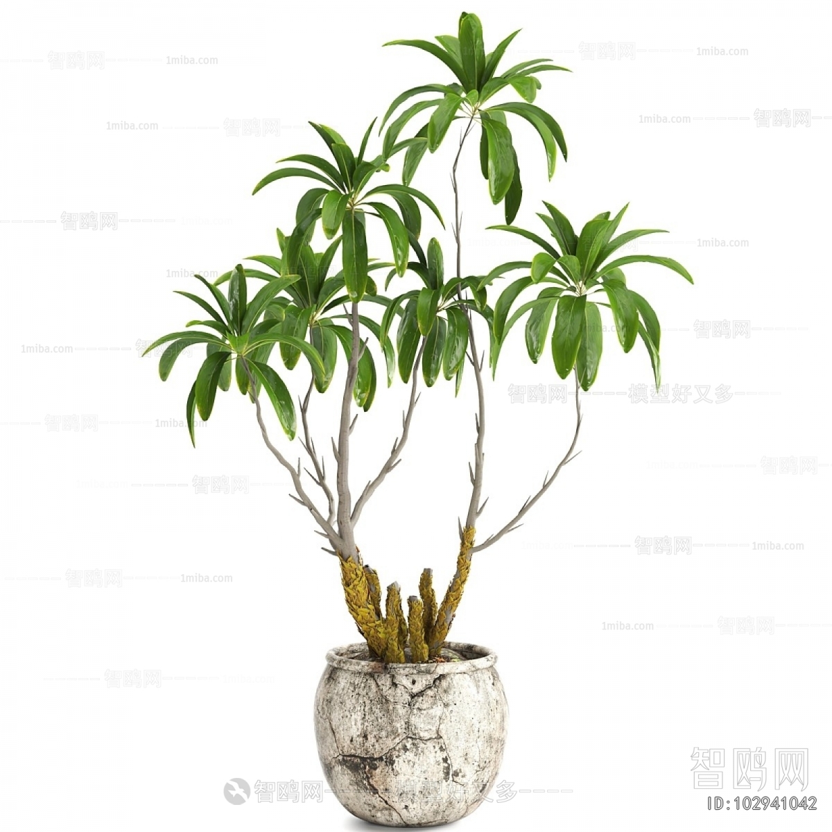 Modern Ground Green Plant Potted Plants