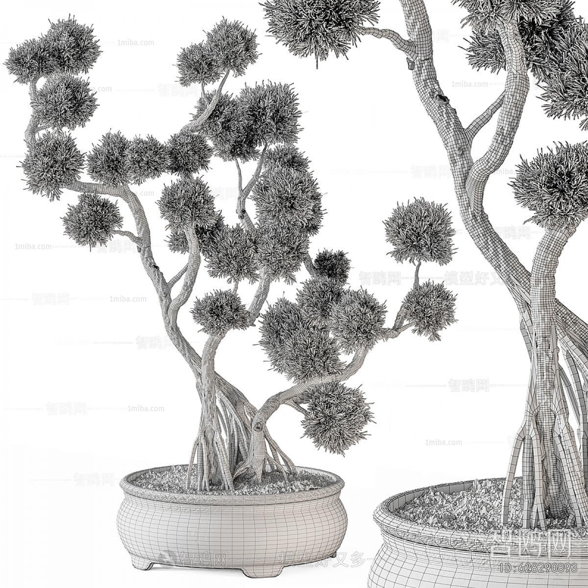 Modern Bonsai