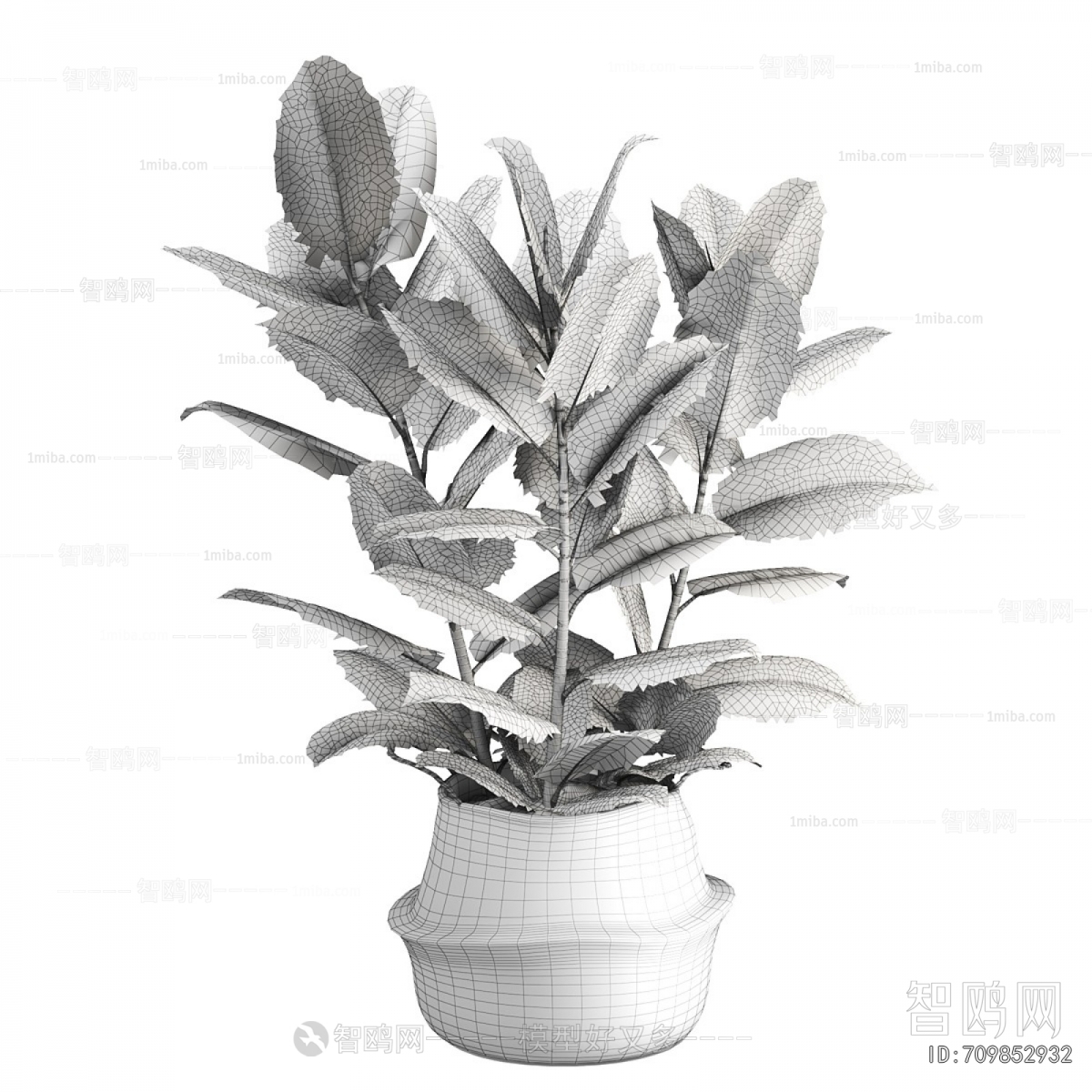 Modern Ground Green Plant Potted Plants