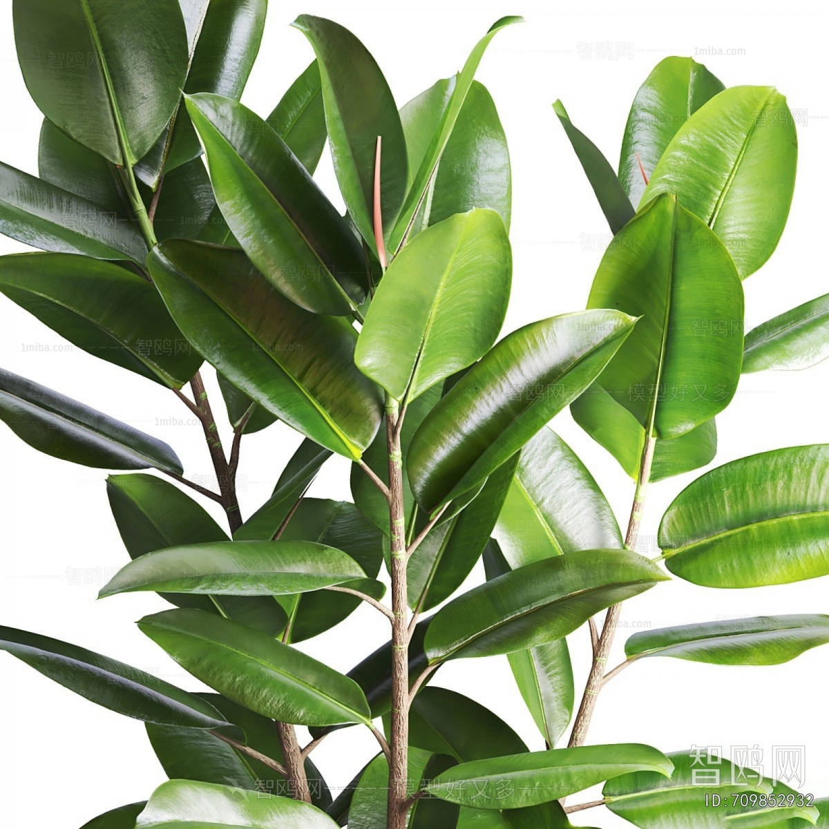 Modern Ground Green Plant Potted Plants