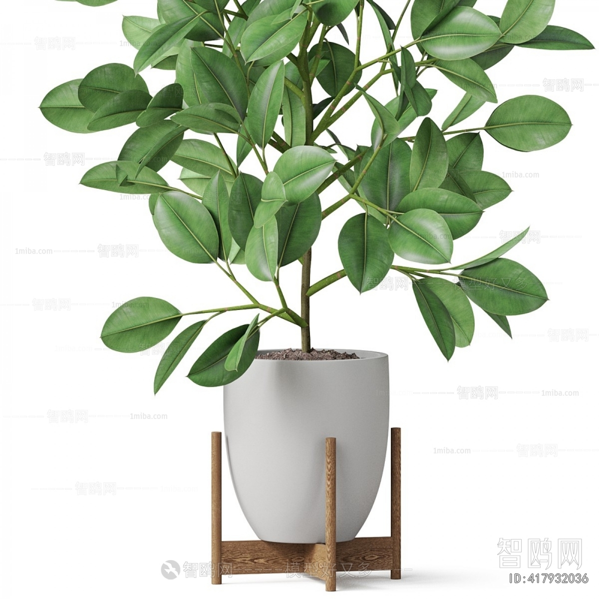 Modern Potted Green Plant