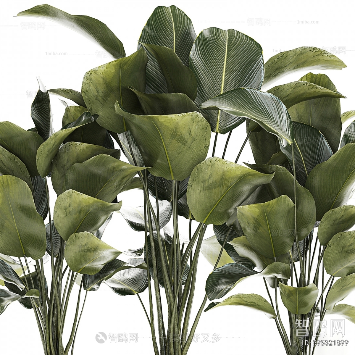 Modern Flower Bed, Flower Bowl, Flower Box