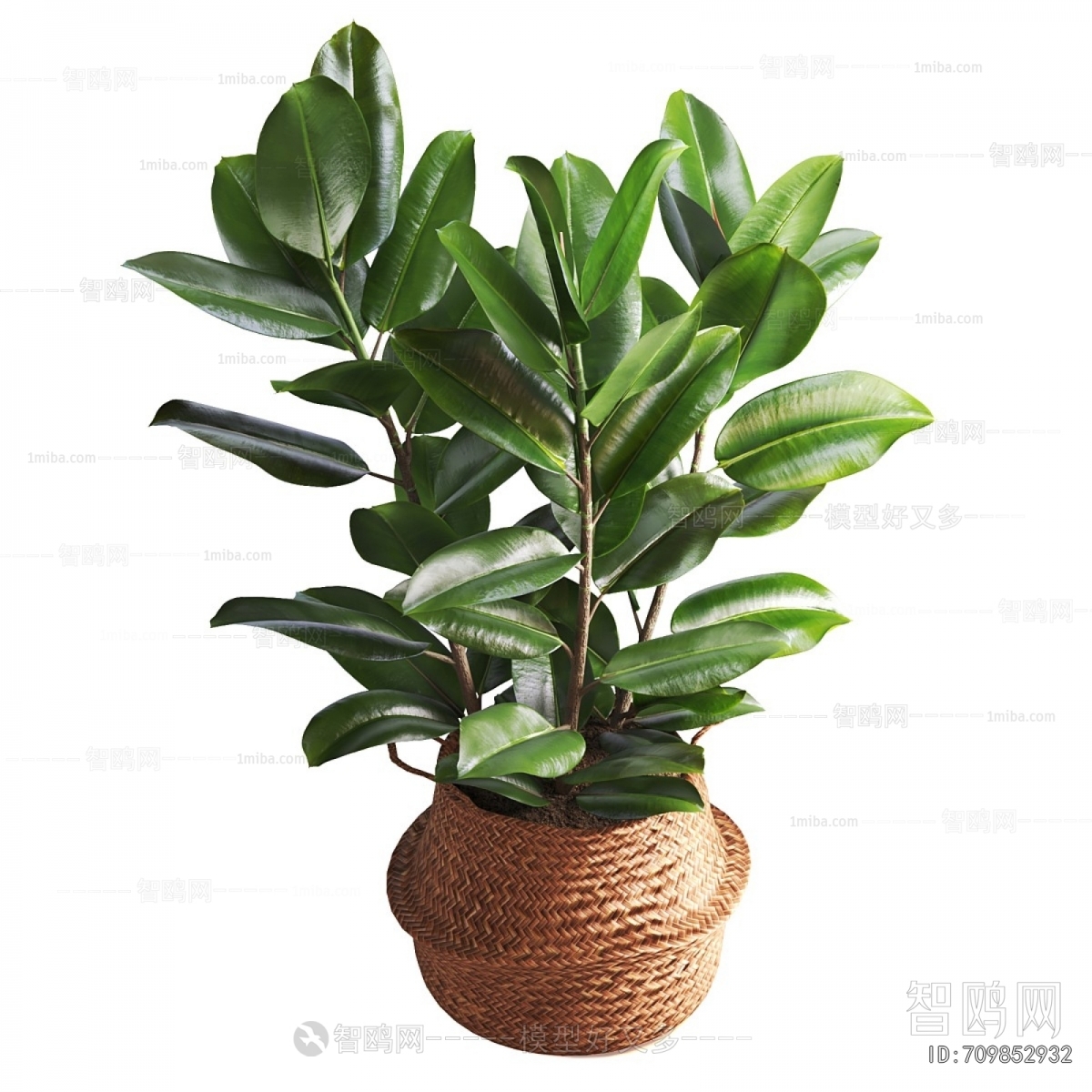 Modern Ground Green Plant Potted Plants