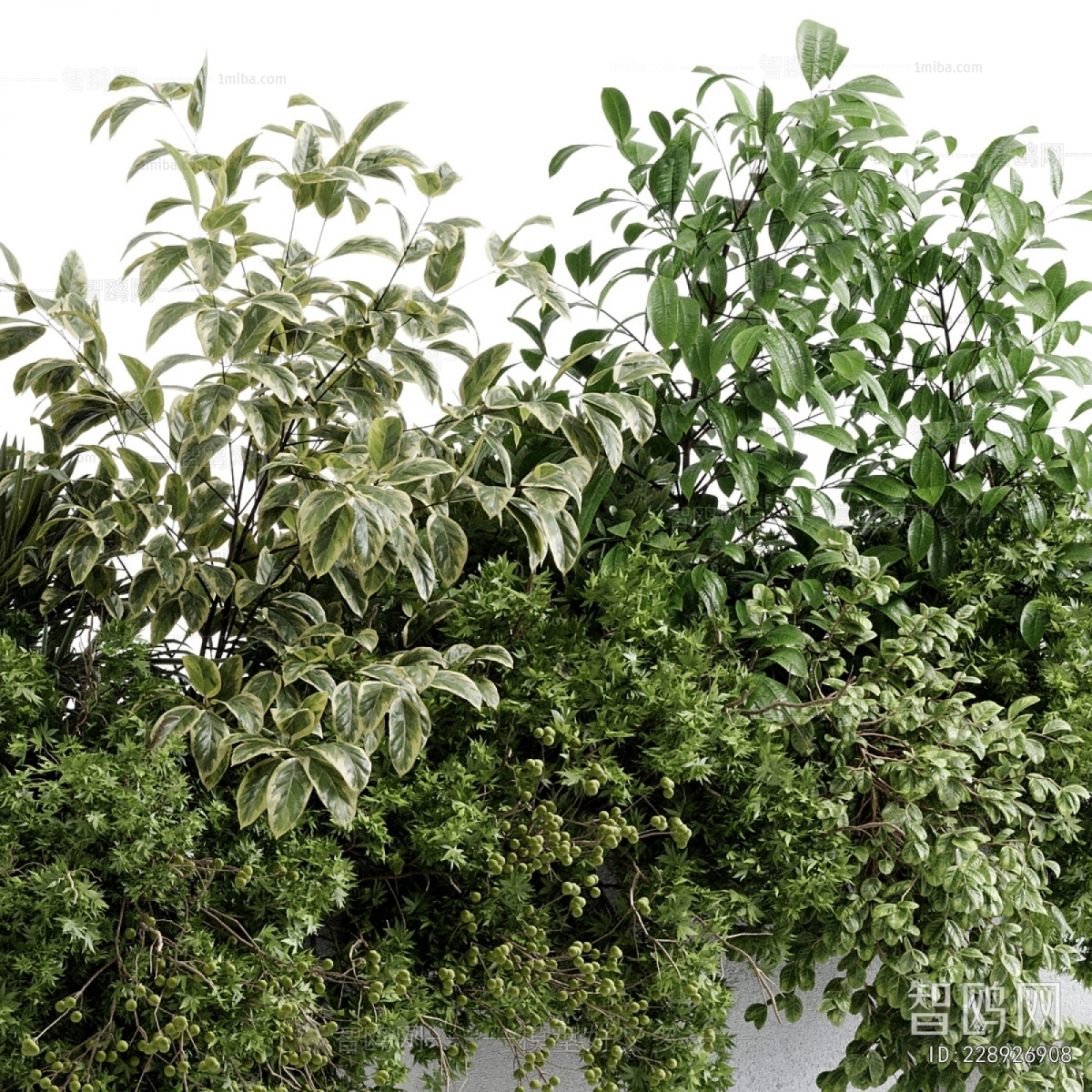 Modern Flower Bed, Flower Bowl, Flower Box