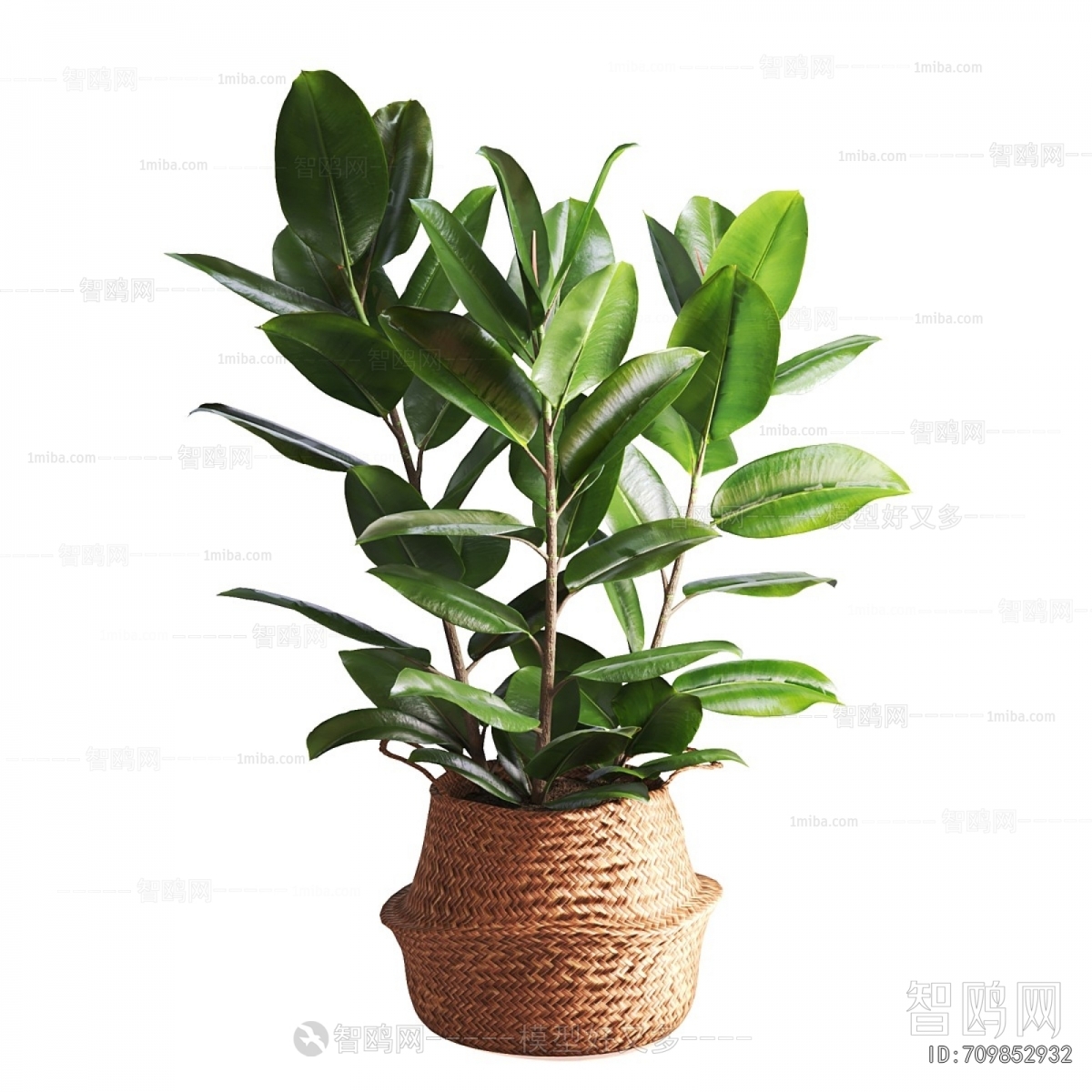 Modern Ground Green Plant Potted Plants