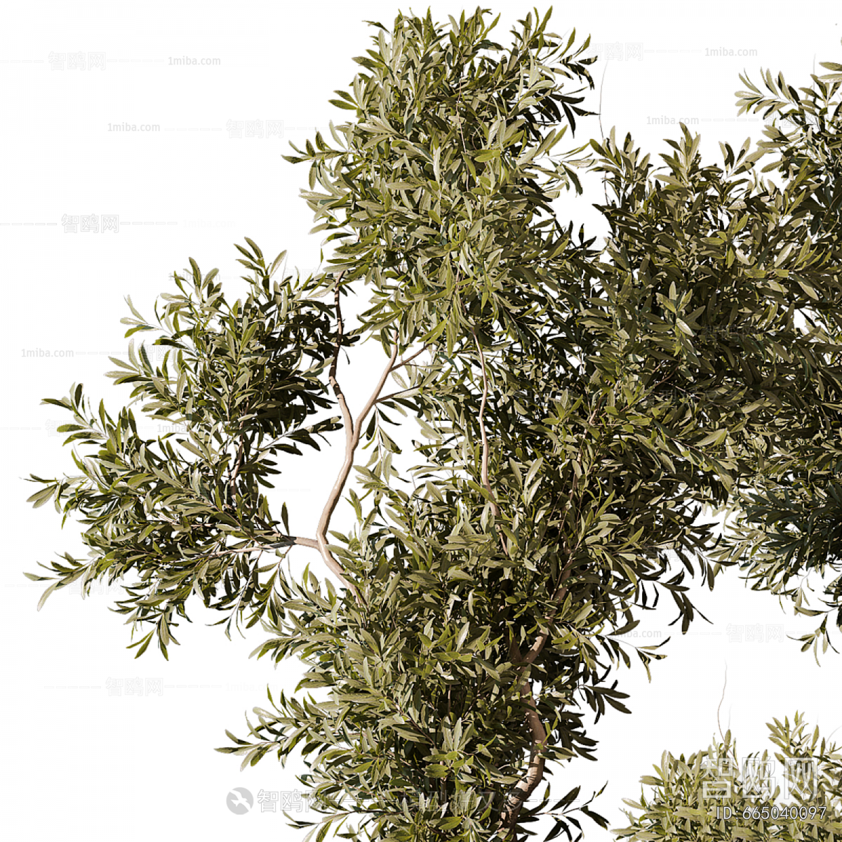 Modern Ground Green Plant Potted Plants