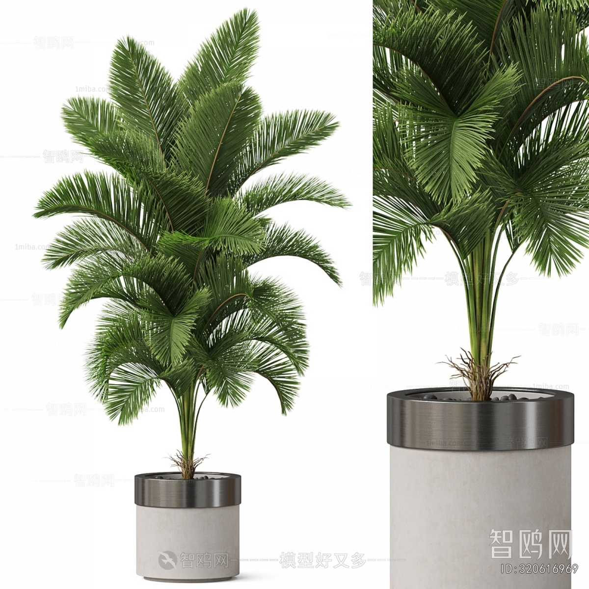 Modern Ground Green Plant Potted Plants