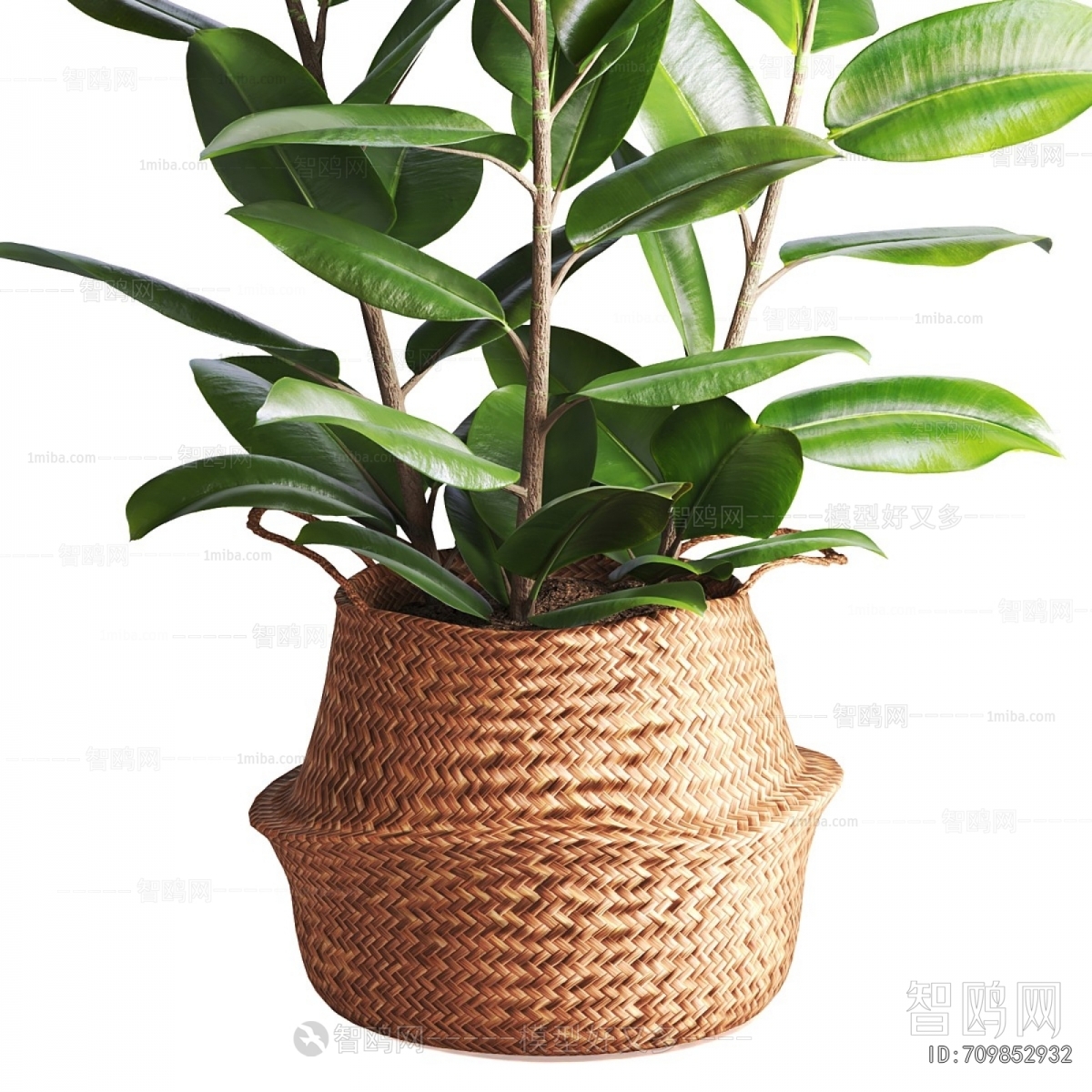 Modern Ground Green Plant Potted Plants