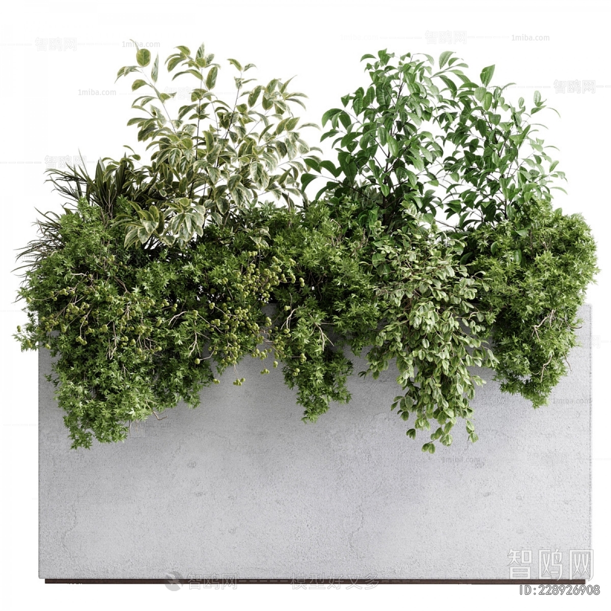 Modern Flower Bed, Flower Bowl, Flower Box