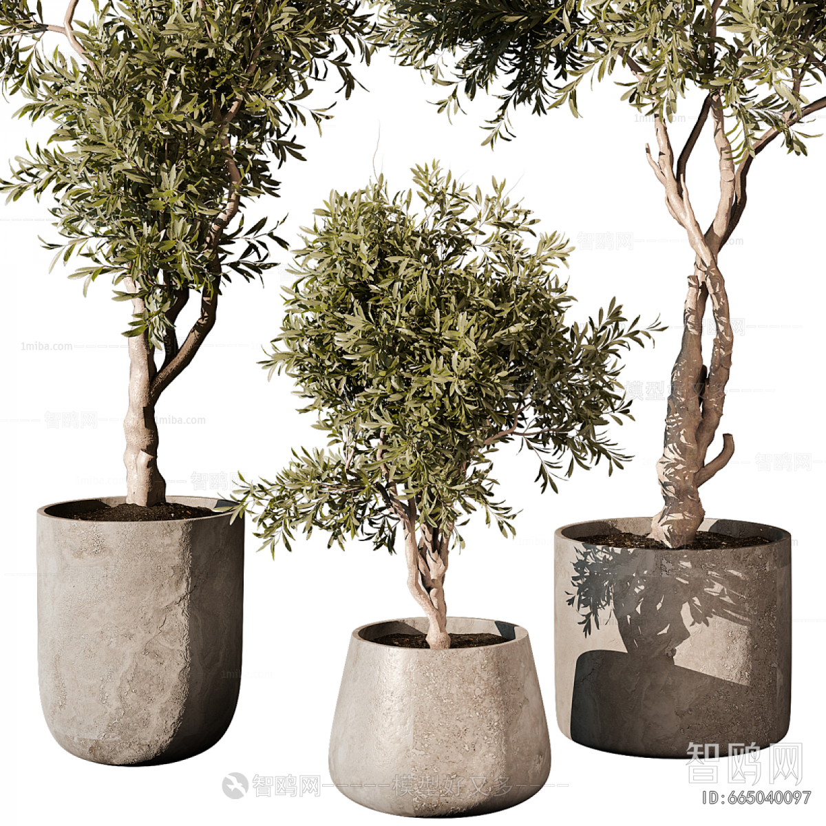 Modern Ground Green Plant Potted Plants