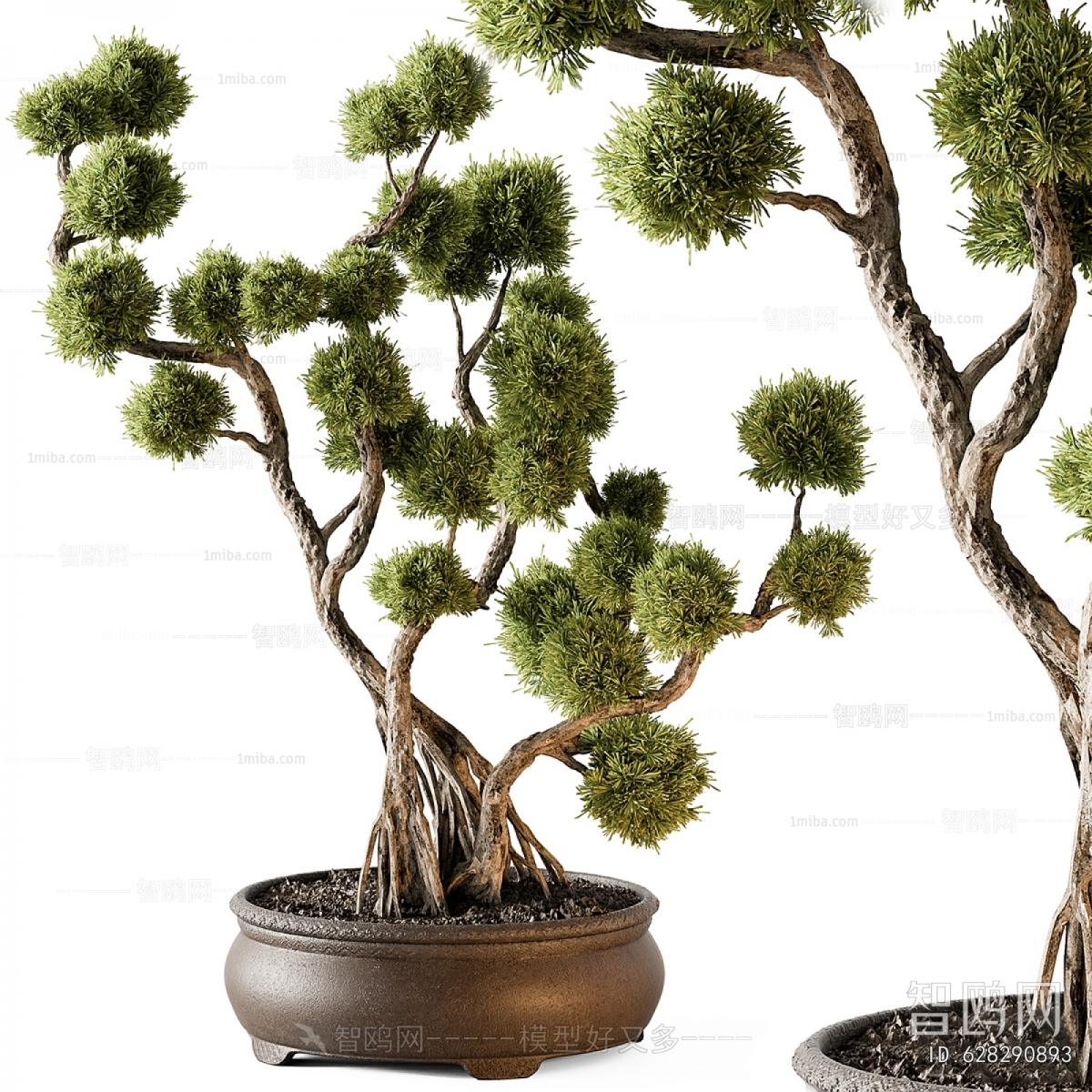 Modern Bonsai