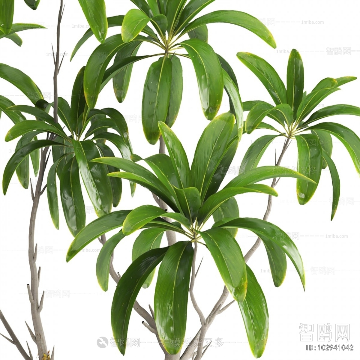 Modern Ground Green Plant Potted Plants