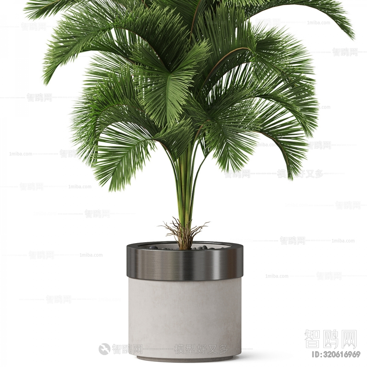 Modern Ground Green Plant Potted Plants