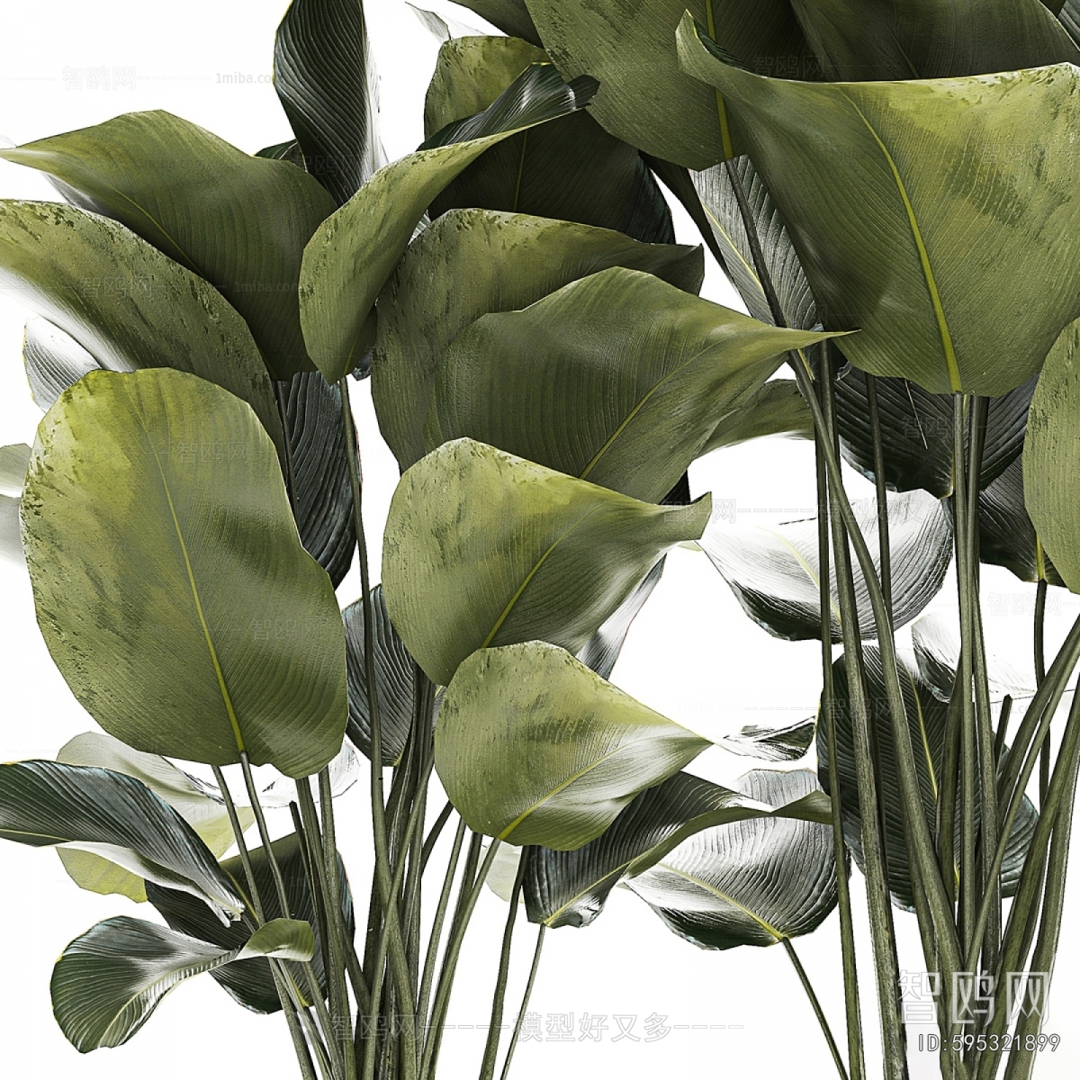 Modern Flower Bed, Flower Bowl, Flower Box