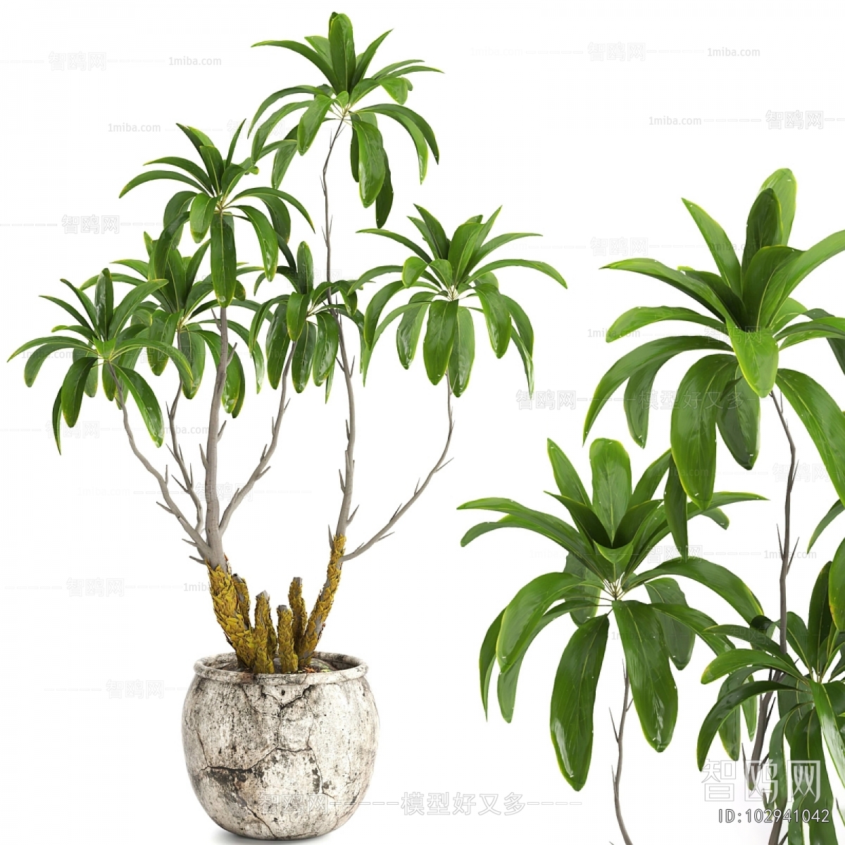 Modern Ground Green Plant Potted Plants