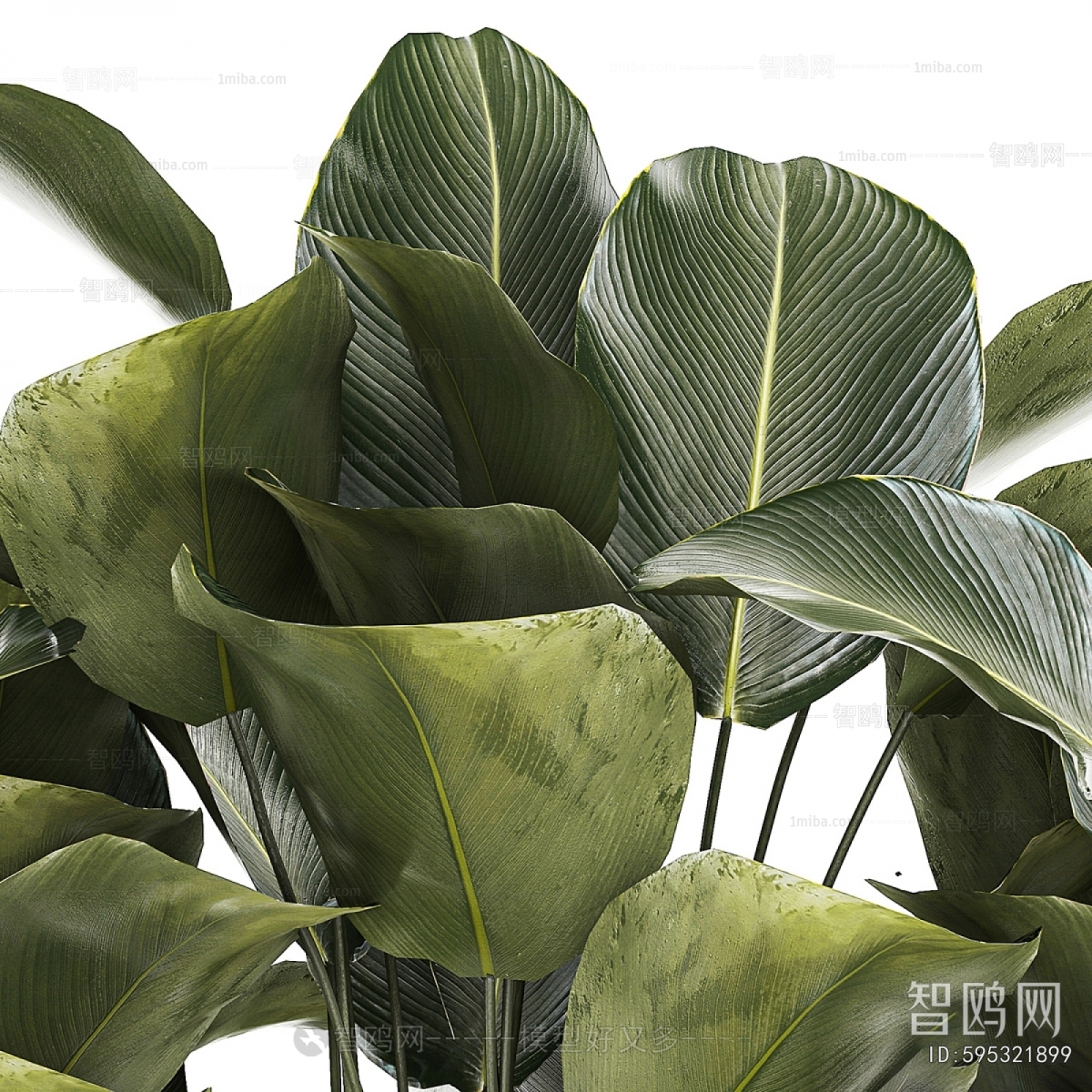 Modern Flower Bed, Flower Bowl, Flower Box