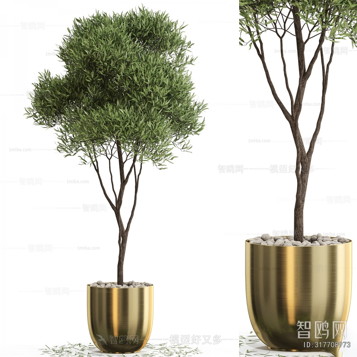 Modern Ground Green Plant Potted Plants