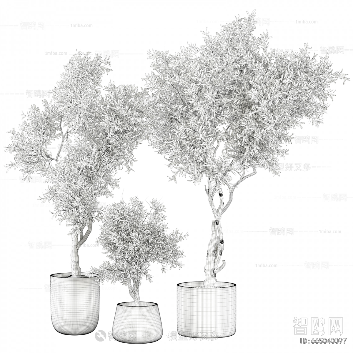 Modern Ground Green Plant Potted Plants