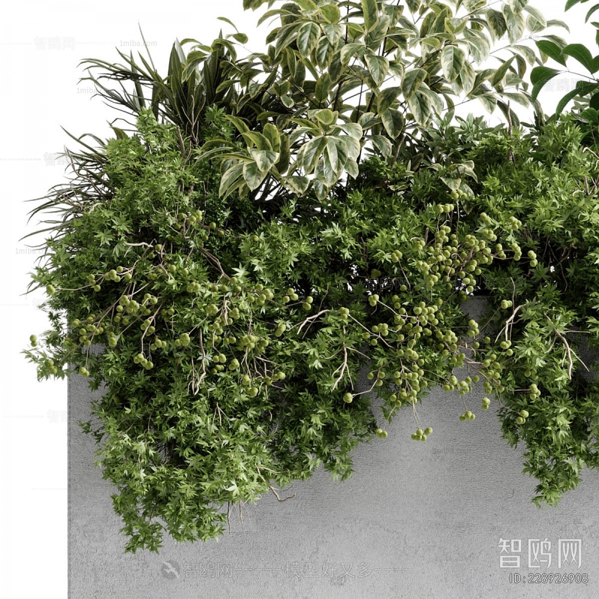 Modern Flower Bed, Flower Bowl, Flower Box