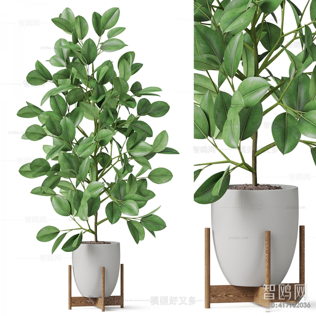 Modern Potted Green Plant