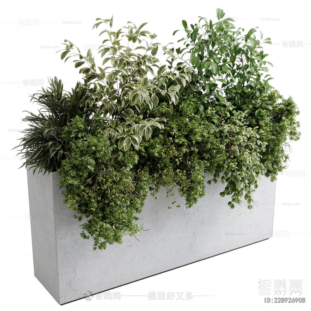 Modern Flower Bed, Flower Bowl, Flower Box