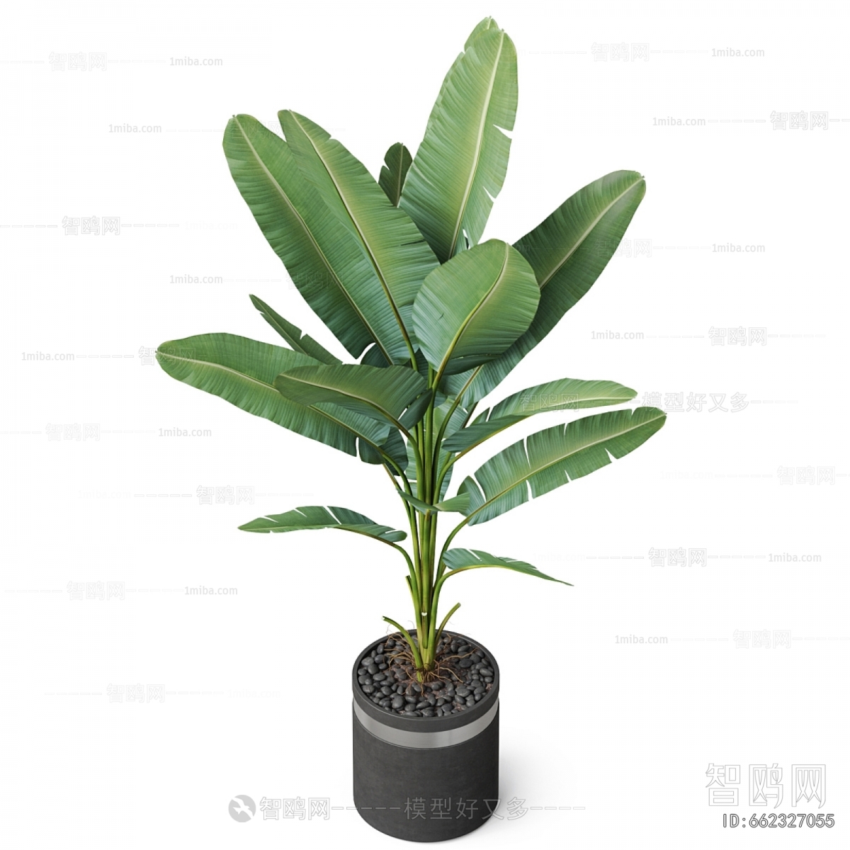 Modern Ground Green Plant Potted Plants