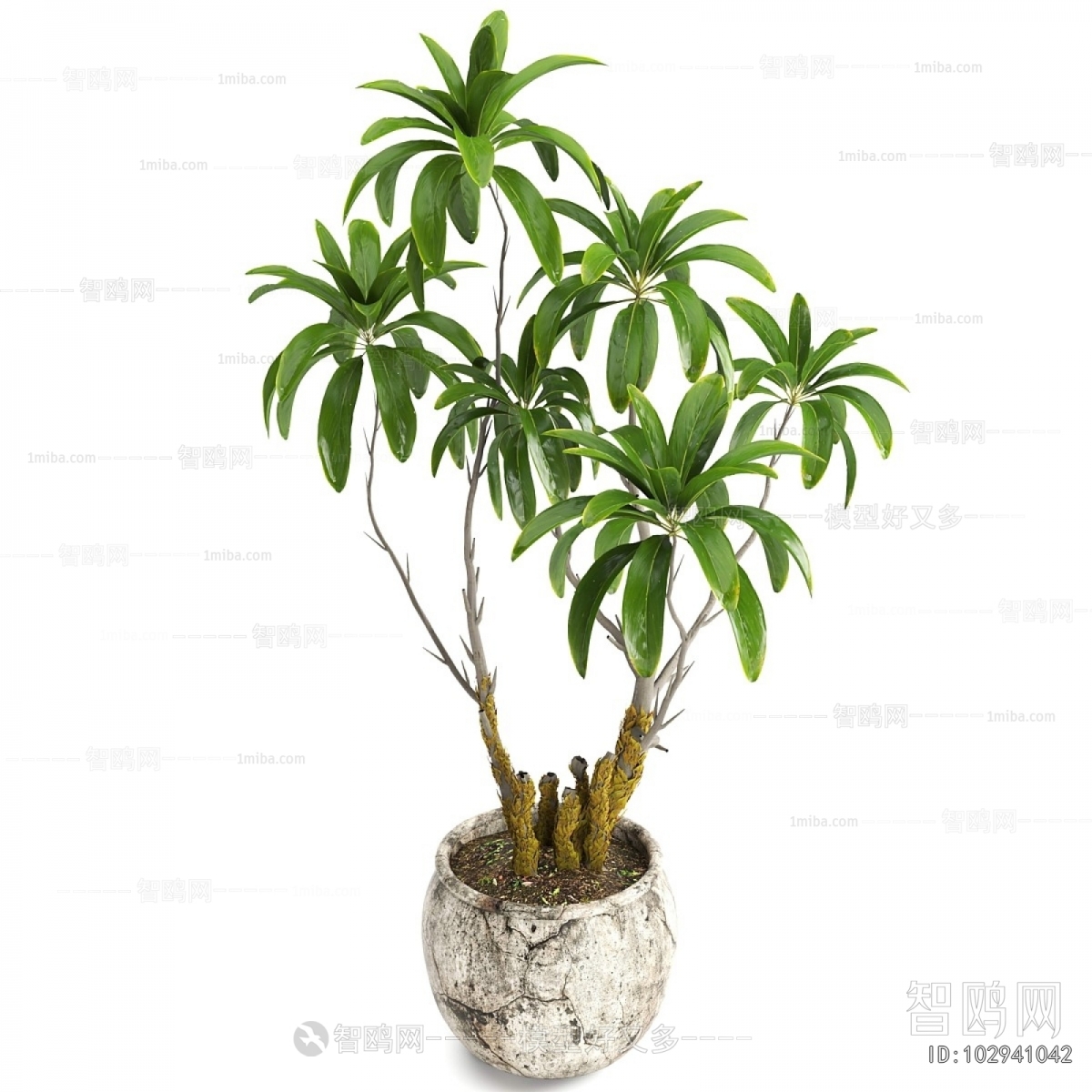 Modern Ground Green Plant Potted Plants