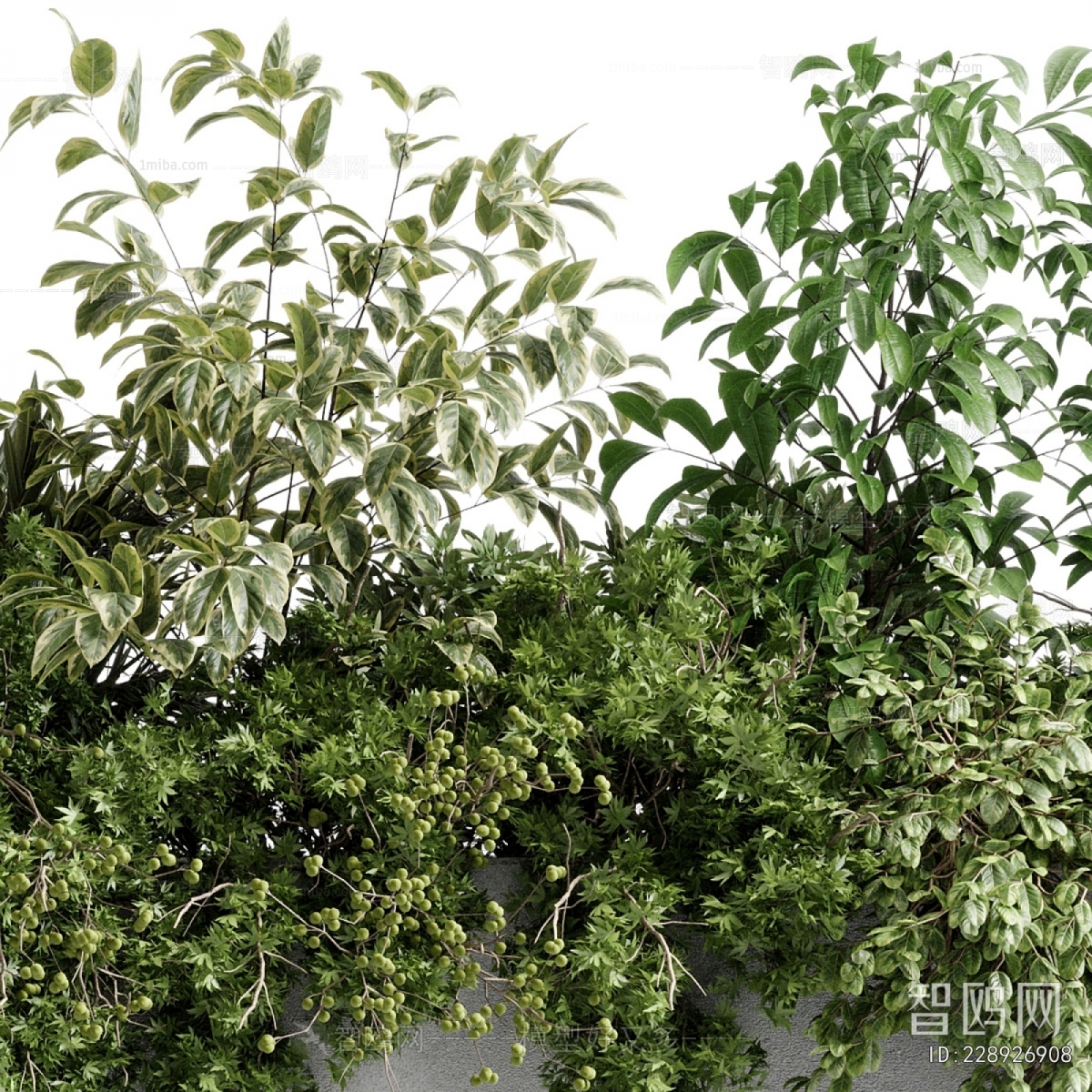 Modern Flower Bed, Flower Bowl, Flower Box