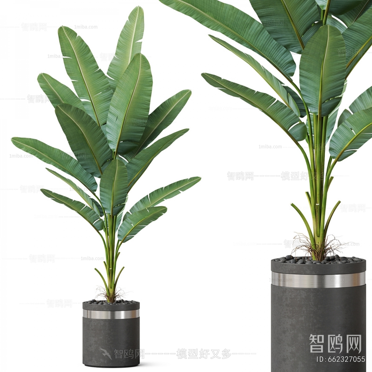 Modern Ground Green Plant Potted Plants