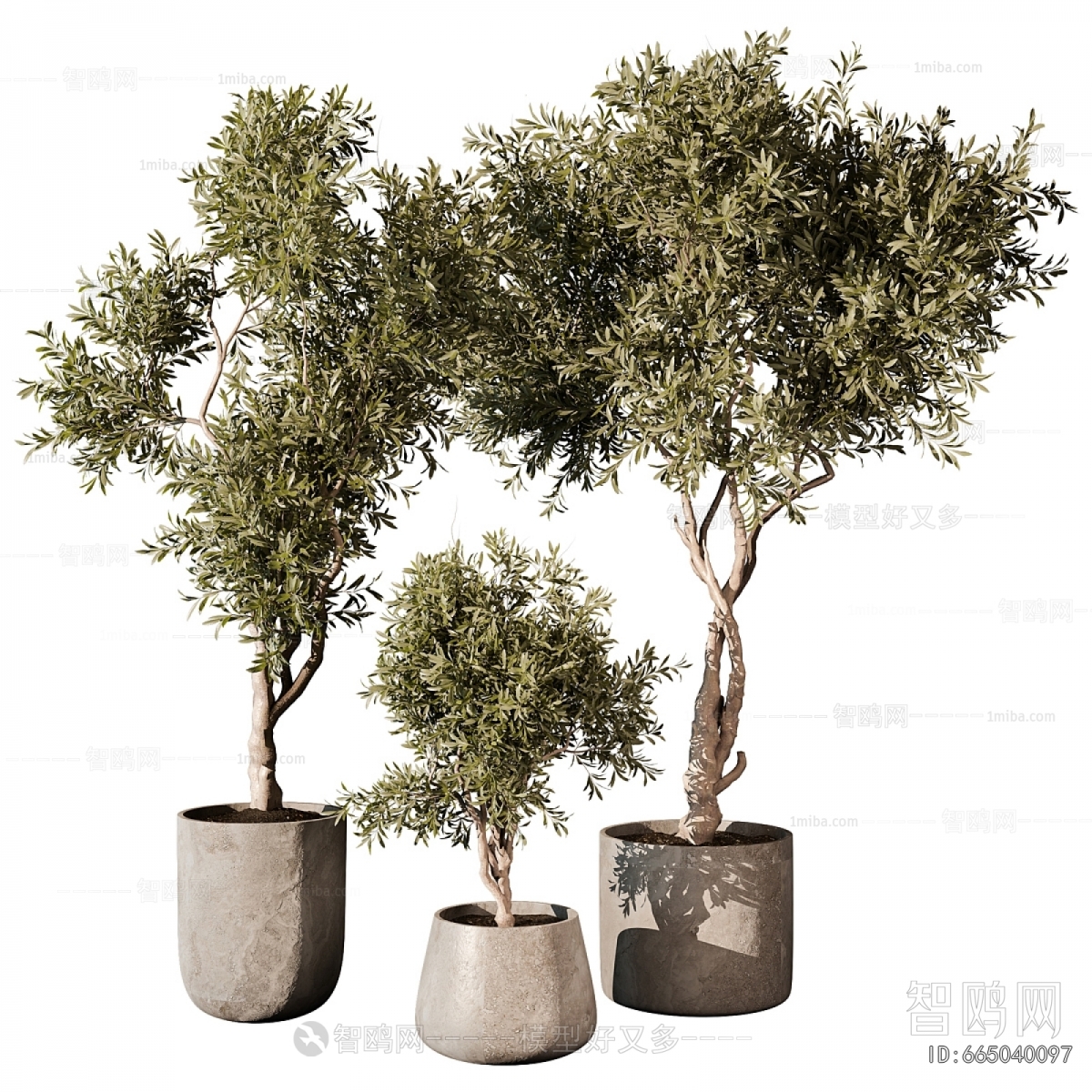 Modern Ground Green Plant Potted Plants