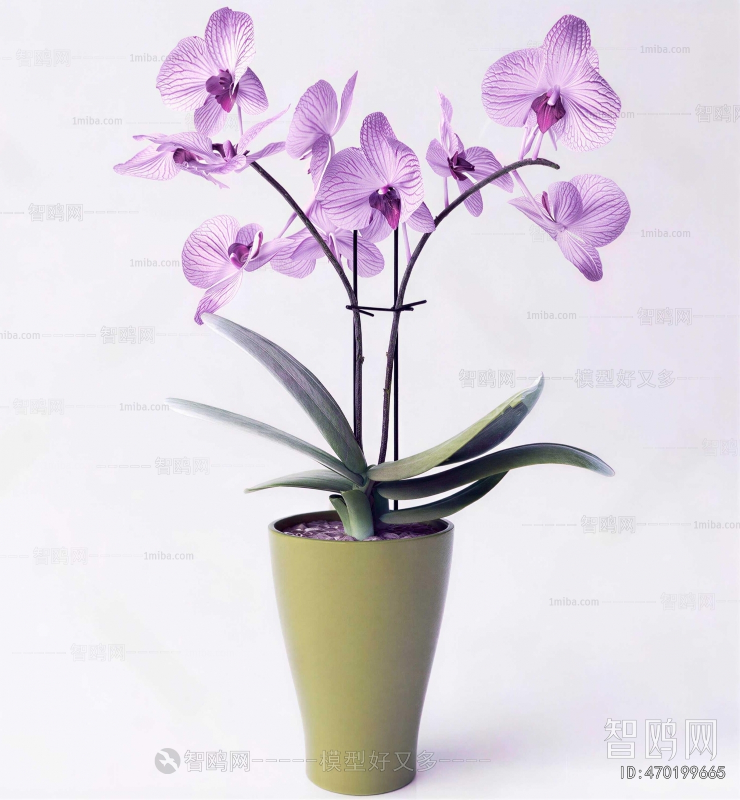 Modern Potted Green Plant