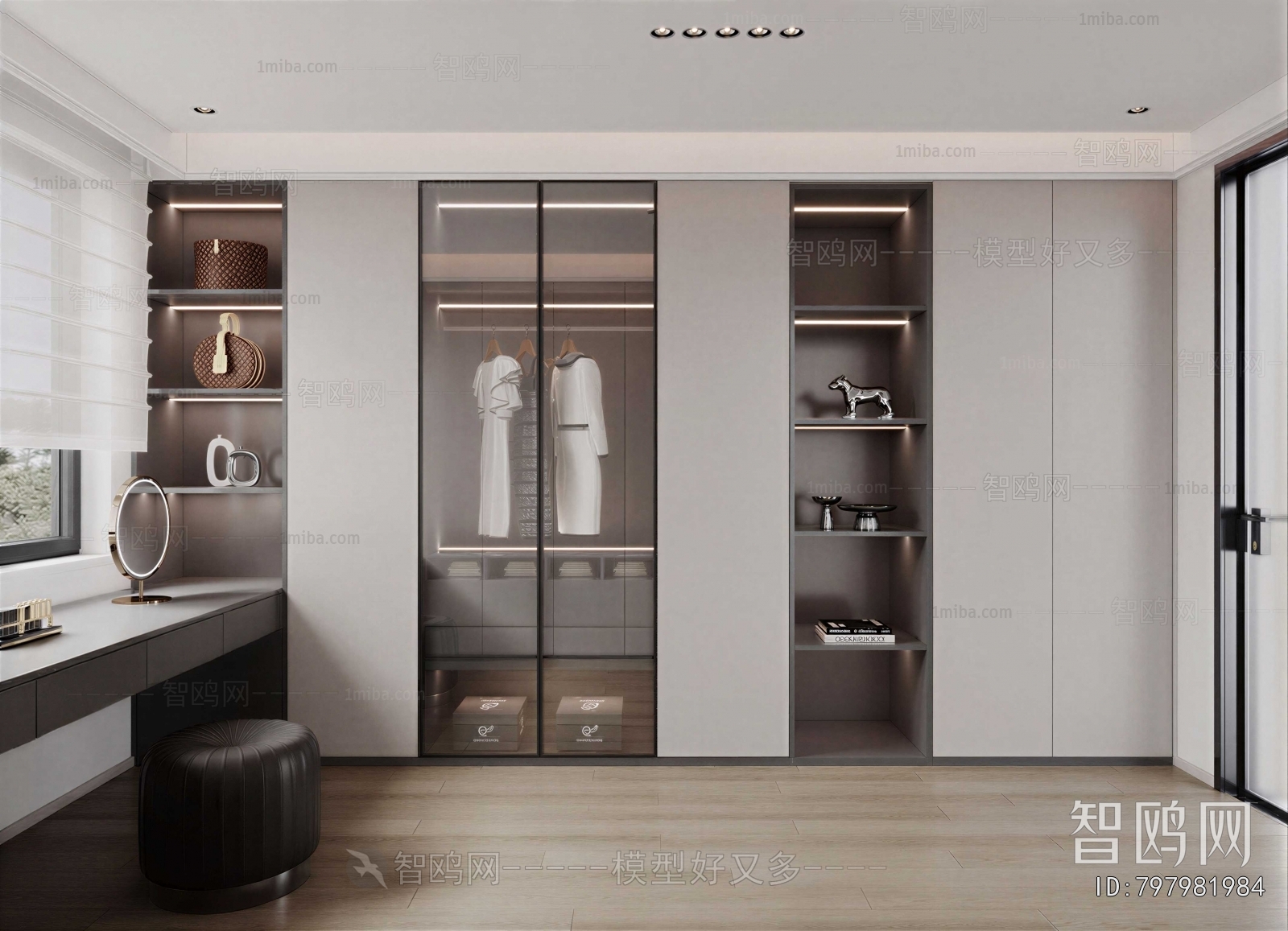 Modern Clothes Storage Area