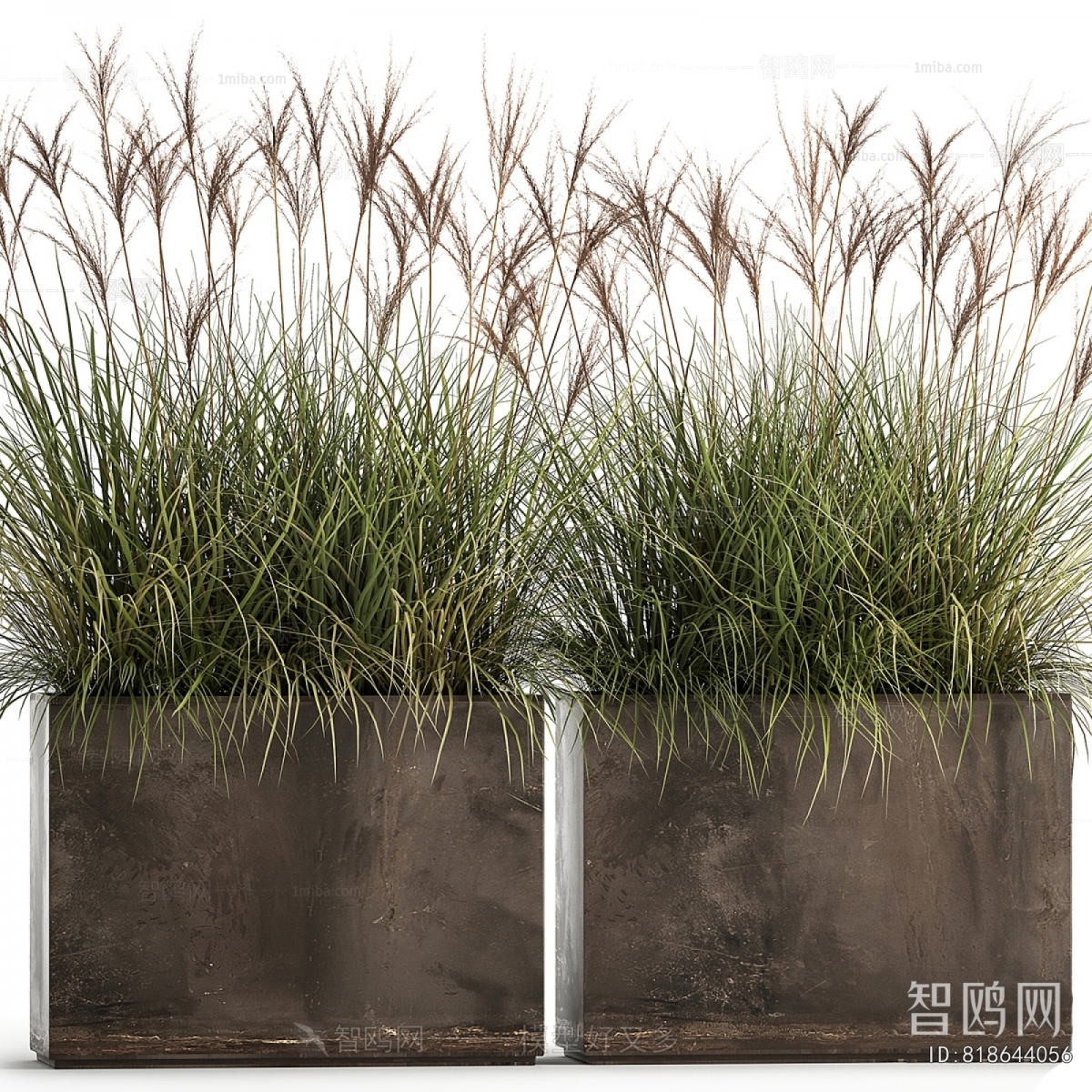 Modern Flower Bed, Flower Bowl, Flower Box