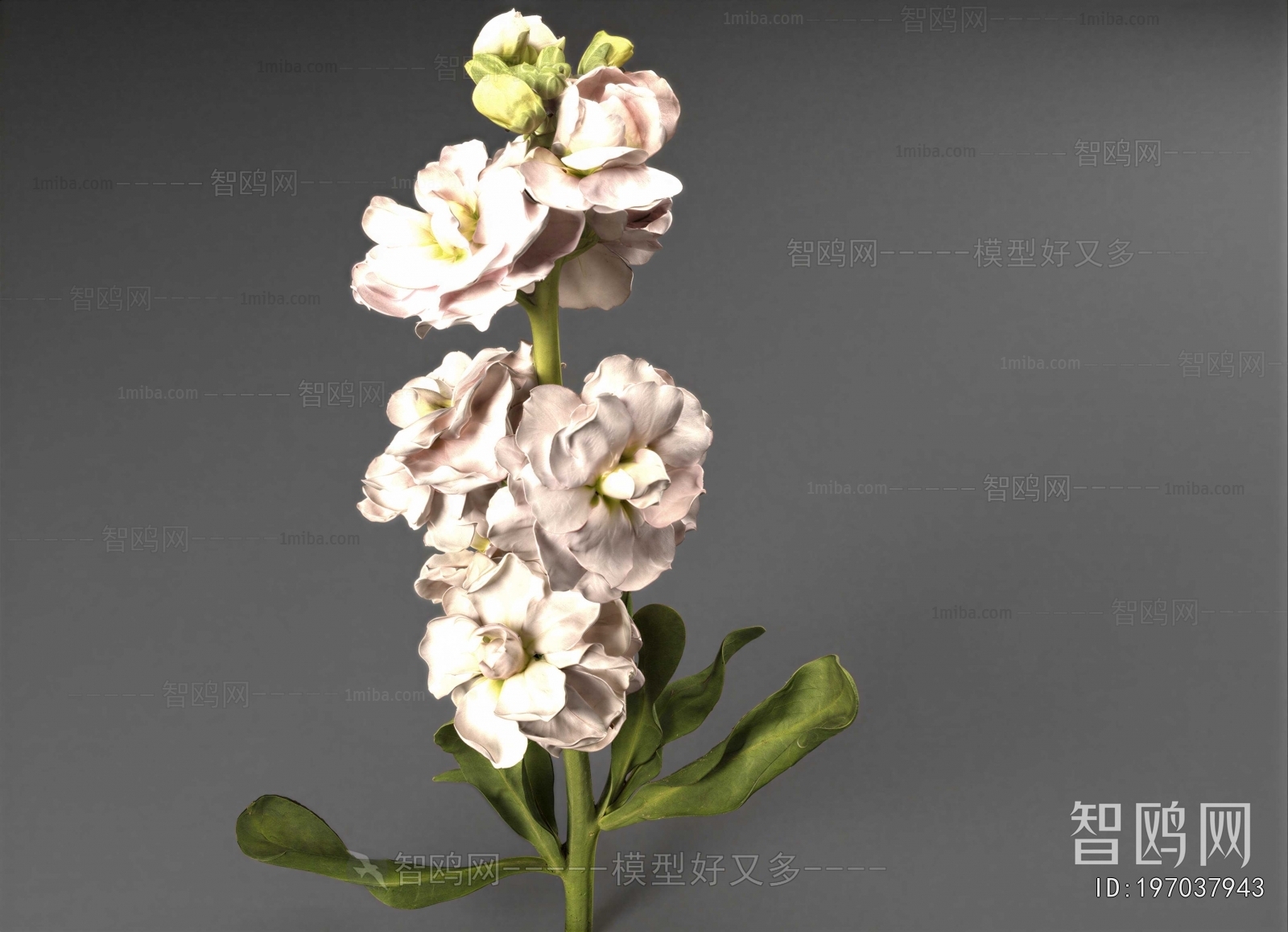 Modern Flowers And Grass