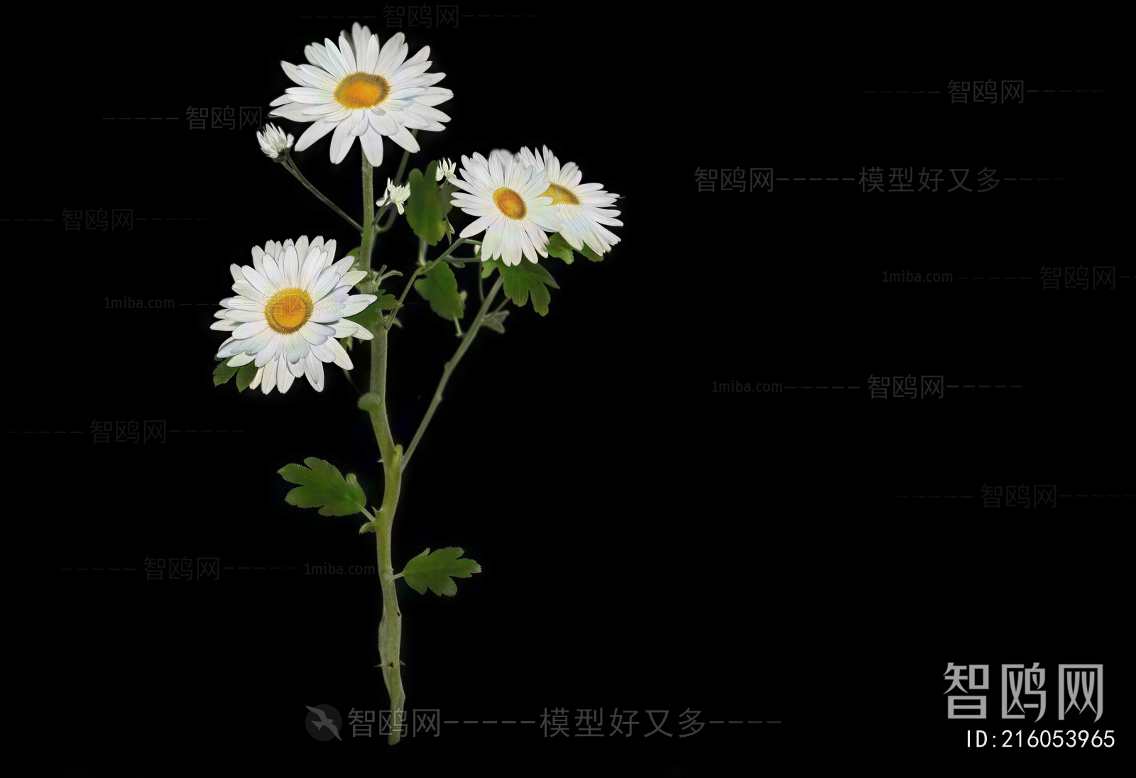 Modern Flowers And Grass