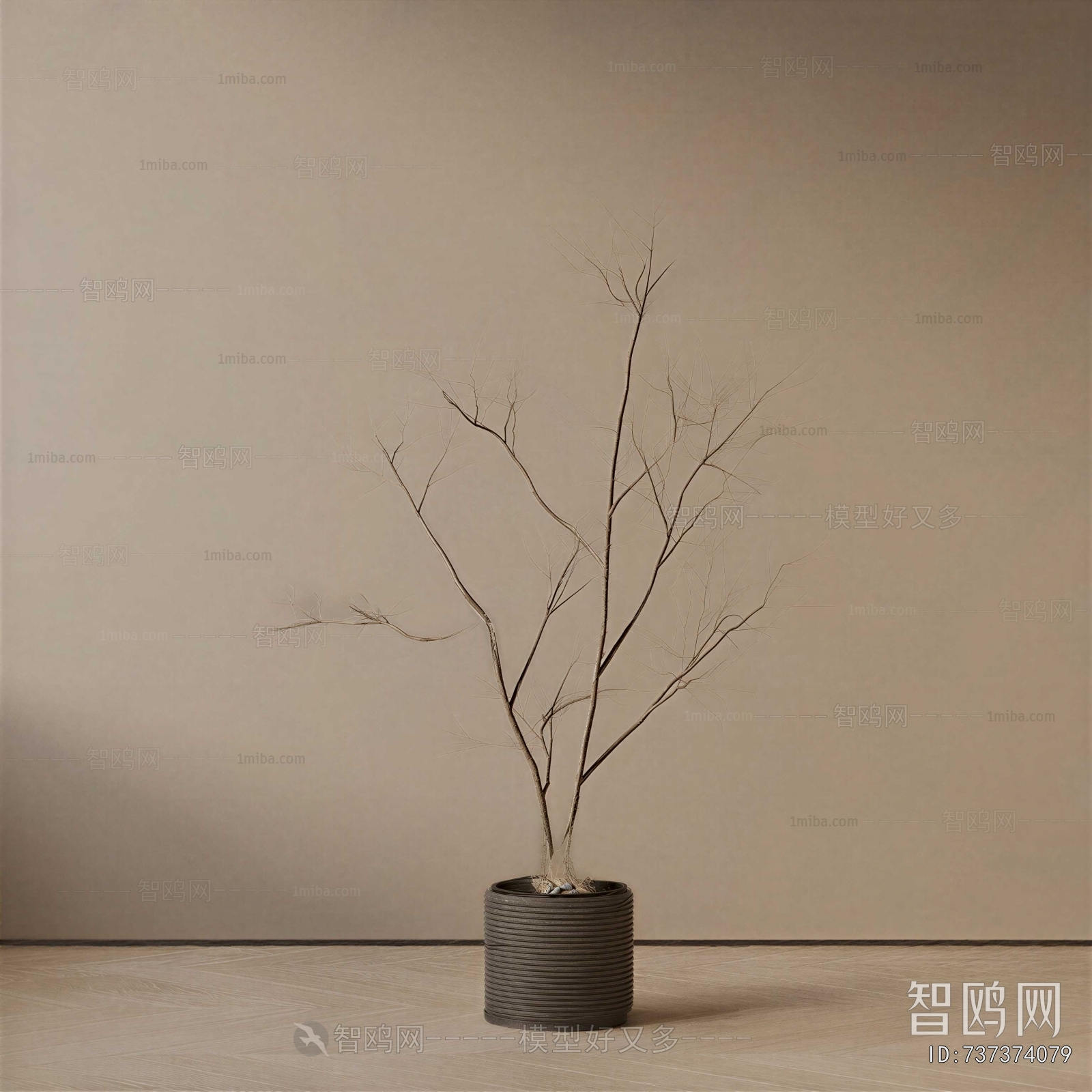 Modern Ground Green Plant Potted Plants