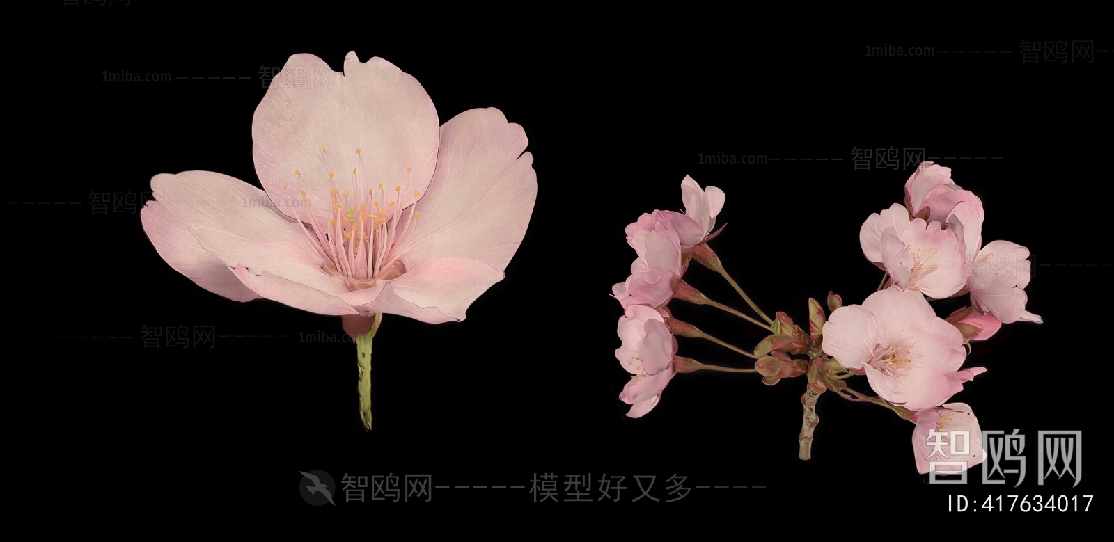 Modern Flowers And Grass