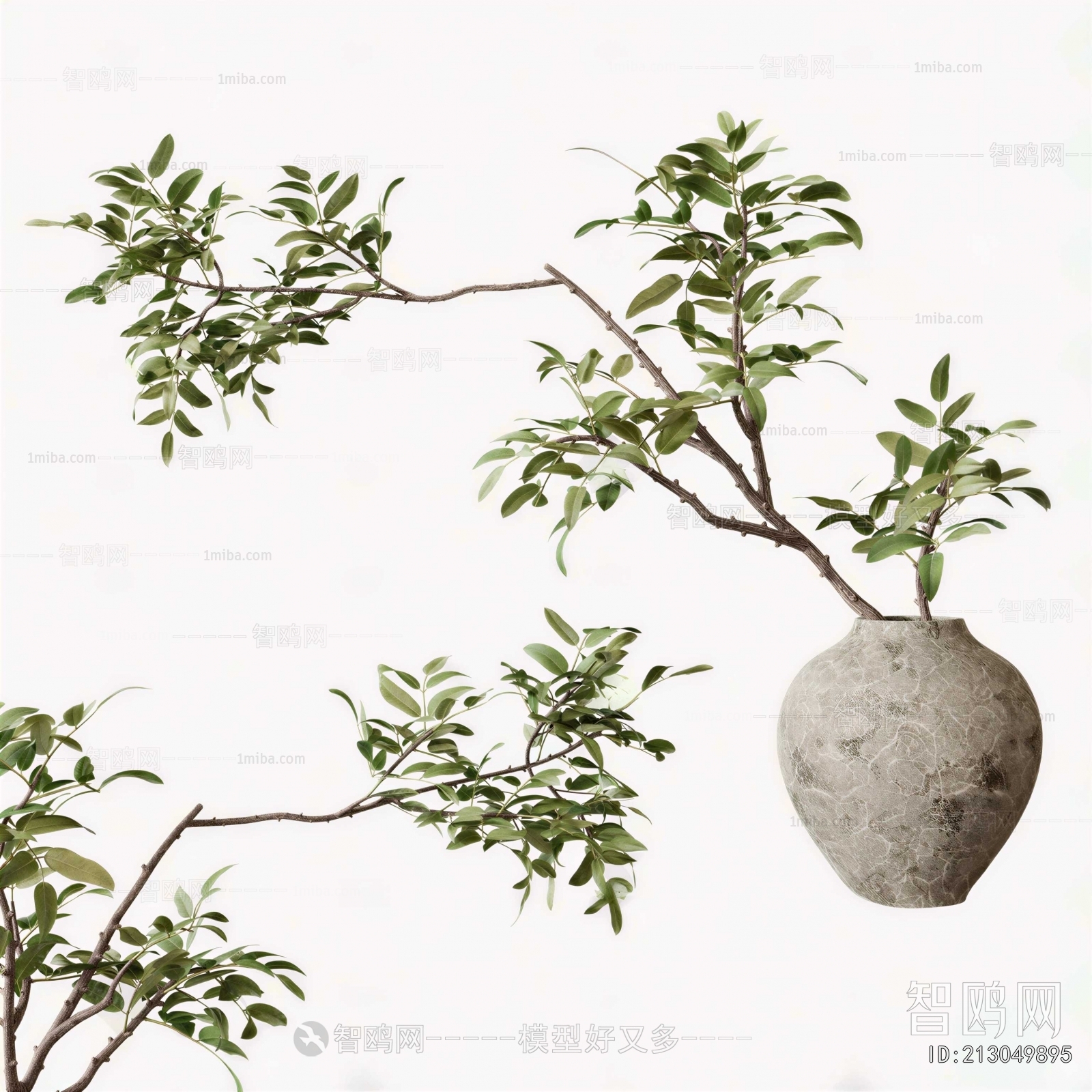 Modern Aquatic Green Plant