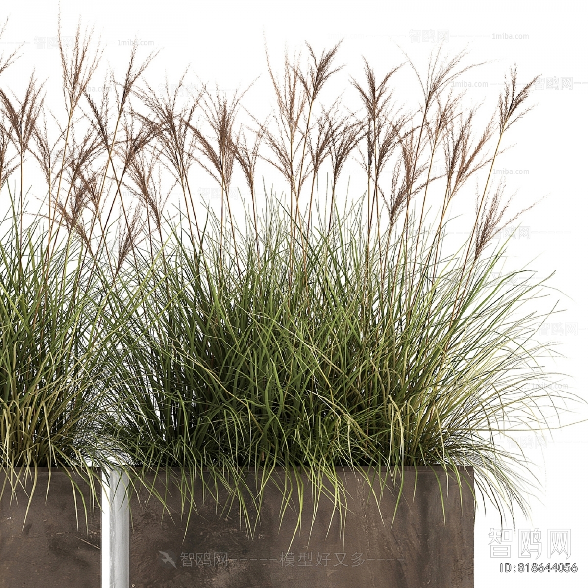 Modern Flower Bed, Flower Bowl, Flower Box