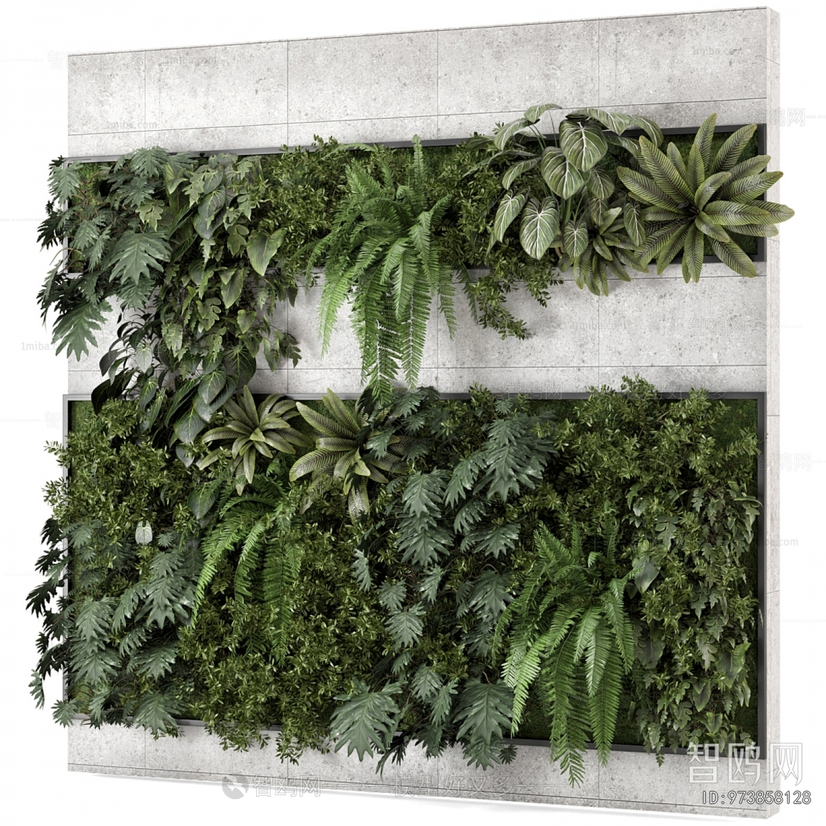 Modern Plant Wall