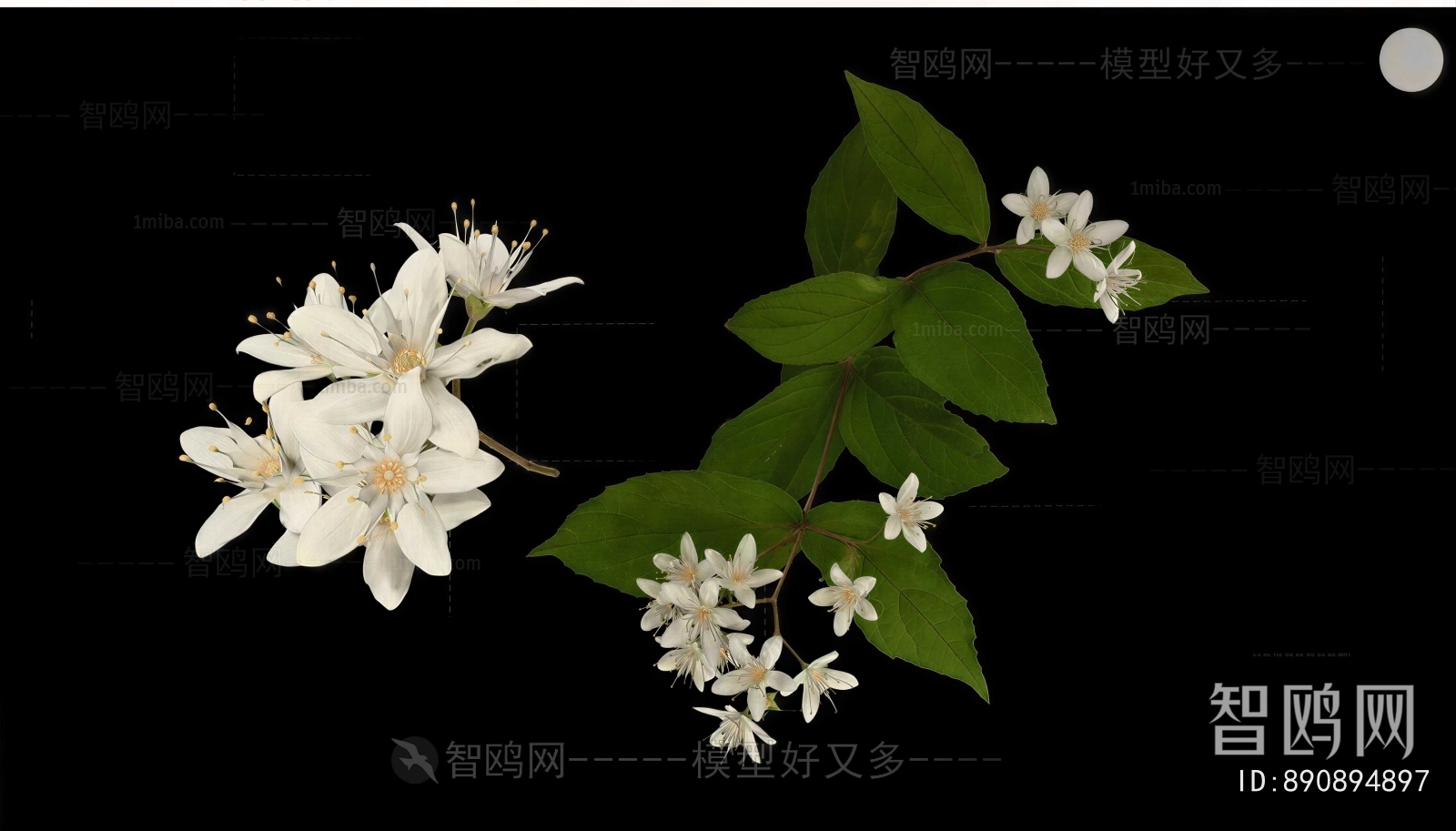 Modern Flowers And Grass