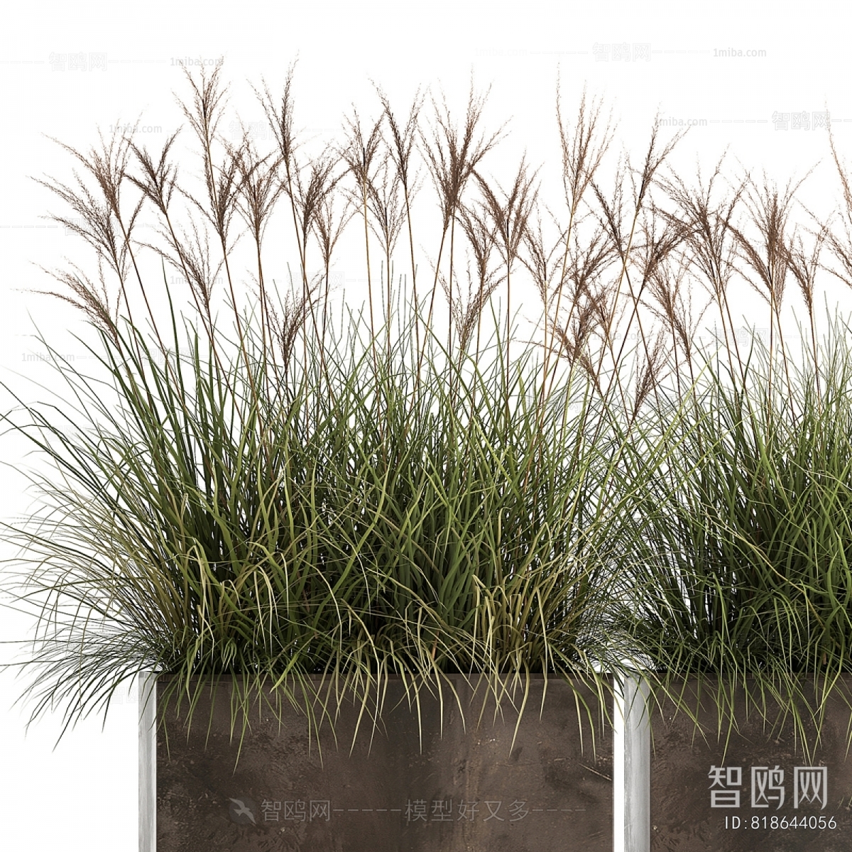 Modern Flower Bed, Flower Bowl, Flower Box